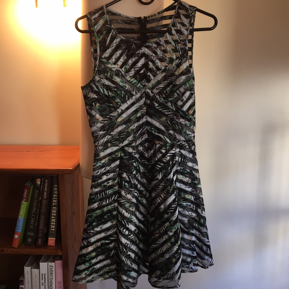 Green and black. Fit and flare Parker dress